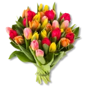 [sticker](media:AAQEABPYAWIwAAQOTuWd3I_Zubk1AAIC@telegram)