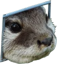 [sticker](media:AAQEABPd7pAwAAQuSjt60GkZQDMGAAIC@telegram)