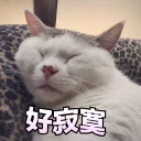 [sticker](media:AAQEABPixrsZAATZYUutel8eJls6AAIC@telegram)