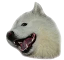 [sticker](media:AAQEABPmPJEwAAQafyOMzn4eNwMEAAIC@telegram)