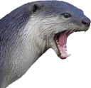 [sticker](media:AAQEABPpREEZAASheApPPmwTbe4BAAIC@telegram)