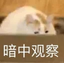 [sticker](media:AAQFAAMTBgAC9Op2CQSSdHMwxgY2_WvQMgAEAQAHbQADdE0AAhYE@telegram)