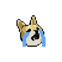 [sticker](media:AAQFAAMoAANISrkKRjq1yJoxUGjyygIzAAQBAAdtAAMnBwACFgQ@telegram)