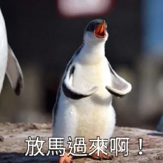 [sticker](media:AAQFAANCBQACyUO1Ce0NTWoP2mEJrxn4MgAEAQAHbQADEk0AAhYE@telegram)