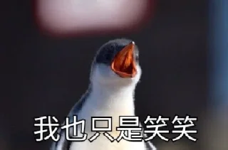 [sticker](media:AAQFAANJBQACyUO1CbPYkj8yV-pjsgz4MgAEAQAHbQADjUUAAhYE@telegram)