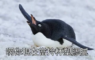 [sticker](media:AAQFAANQBQACyUO1CTmmjMw8t4RjFxH4MgAEAQAHbQADWDsAAhYE@telegram)