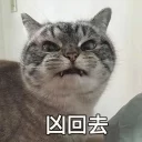 [sticker](media:AAQFAAOFAgACghU9CLYYxSHAUjTVc2_KMgAEAQAHbQAD7g4AAhYE@telegram)