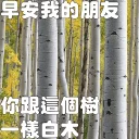 [sticker](media:AAQFABM-y9MyAARxBSTu63VS8rQtAAIC@telegram)