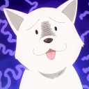 [sticker](media:AAQFABM6DLIyAAQOIcc6OfJt-a8DAAIC@telegram)