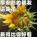 [sticker](media:AAQFABM8ttQyAASAkL9qfOrDN9FAAAIC@telegram)