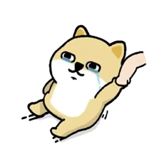 [sticker](media:AAQFABMDkfYyAARvvG5jMhQ8D8gWAAIC@telegram)