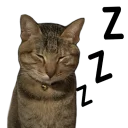 [sticker](media:AAQFABMFXdYyAARxTvE-ywFzobYNAAIC@telegram)