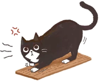 [sticker](media:AAQFABMHn_YyAASPwOd7sxQvskpfAAIC@telegram)