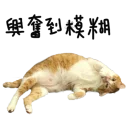 [sticker](media:AAQFABMVzdQyAASX6MWUhZbDgSgwAAIC@telegram)