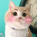 [sticker](media:AAQFABMWQtUyAAQM48D6FxmkcrlBAAIC@telegram)