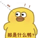 [sticker](media:AAQFABMWed4yAARHWvtciHOyhl0-AAIC@telegram)