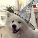 [sticker](media:AAQFABM_VtMyAAQn9VD1ZxAS5kkvAAIC@telegram)