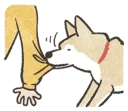 [sticker](media:AAQFABMa37EyAATKgzMkz_ZH-LsfAAIC@telegram)