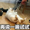 [sticker](media:AAQFABMbadAyAATMvkN6RDK6WDI2AAIC@telegram)