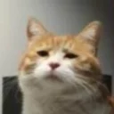 [sticker](media:AAQFABMd-sAyAAThk8MjLDJDDTsCAAIC@telegram)