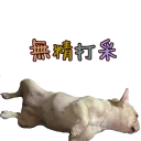 [sticker](media:AAQFABMfYNAyAAQPdt5YVWyBW2Y0AAIC@telegram)