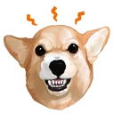 [sticker](media:AAQFABMlX78yAASYkrt8MXXXIEExAAIC@telegram)