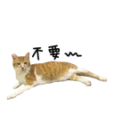 [sticker](media:AAQFABMqxNMyAASb240IMJUcqSYtAAIC@telegram)