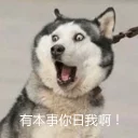 [sticker](media:AAQFABMvkcsyAARQpZE6uIku4X0BAAIC@telegram)