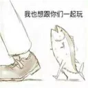 [sticker](media:AAQFABMxy9MyAAQQubi8RCPnvVcoAAIC@telegram)