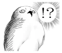 [sticker](media:AAQFABMzxq4yAATJ8_EPIbxLkrolAAIC@telegram)