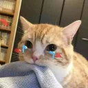 [sticker](media:AAQFABN1JdAyAARm9pog4a_dj0UtAAIC@telegram)