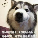 [sticker](media:AAQFABN348syAAQ1uDxozNjGfO8XAAIC@telegram)