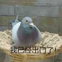 [sticker](media:AAQFABN3bMoyAAQNEyvniDDRcVYUAAIC@telegram)