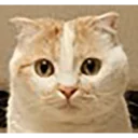 [sticker](media:AAQFABN6DsoyAAQwwyrjfW4aFA9xAAIC@telegram)