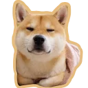 [sticker](media:AAQFABN6YMoyAASR9wOMzI_EnegfAAIC@telegram)