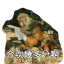 [sticker](media:AAQFABN6aNAyAAT9kpBbLbXmRhlEAAIC@telegram)