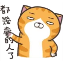 [sticker](media:AAQFABN7wb8yAASXUU2ETvXSh5QpAAIC@telegram)