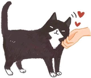 [sticker](media:AAQFABN8ifYyAAQUC7jixvvaolllAAIC@telegram)