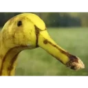 [sticker](media:AAQFABNDSd4yAATK8CTo3cru8JctAAIC@telegram)