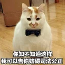 [sticker](media:AAQFABNEqNAyAARt3ZYHl4MQY5snAAIC@telegram)