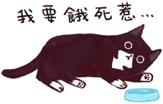 [sticker](media:AAQFABNLJcwyAATtXGAr7-PN8pofAAIC@telegram)