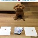 [sticker](media:AAQFABNSydYyAASXJmpTD5crBMYMAAIC@telegram)