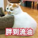 [sticker](media:AAQFABNUaNAyAARHqPoUcNzsBAEyAAIC@telegram)