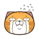 [sticker](media:AAQFABNVTNYyAAQllNBLJwih6wkvAAIC@telegram)