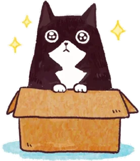 [sticker](media:AAQFABN_kfYyAATXq2klaQ_ekIpcAAIC@telegram)