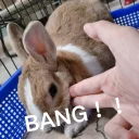 [sticker](media:AAQFABN_tNAyAATCkgABFTZbEmU2IgACAg@telegram)