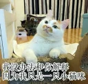 [sticker](media:AAQFABNcP9AyAAR6q96-9XY6ViZFAAIC@telegram)