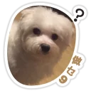 [sticker](media:AAQFABNfkr8yAAT55SZlL4P0aaoJAAIC@telegram)