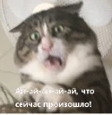 [sticker](media:AAQFABNgUrMyAARf6ozrznJMYU8JAAIC@telegram)
