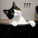 [sticker](media:AAQFABNmmsoyAASvjCg-wp-b3s8yAAIC@telegram)